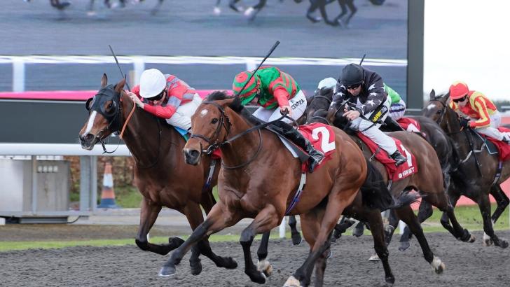 Horse racing at Kempton